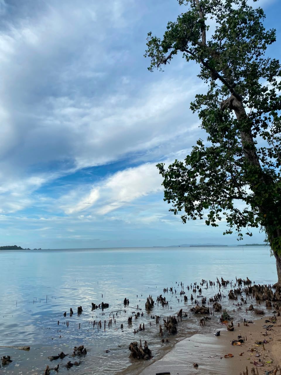 Pemandangan Kampung Samate (3)