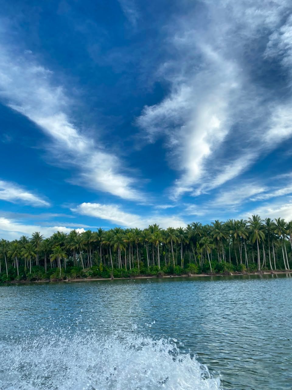 Pemandangan Kampung Samate (8)